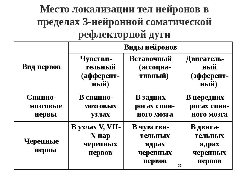 Функциональная анатомия периферической нервной системы презентация