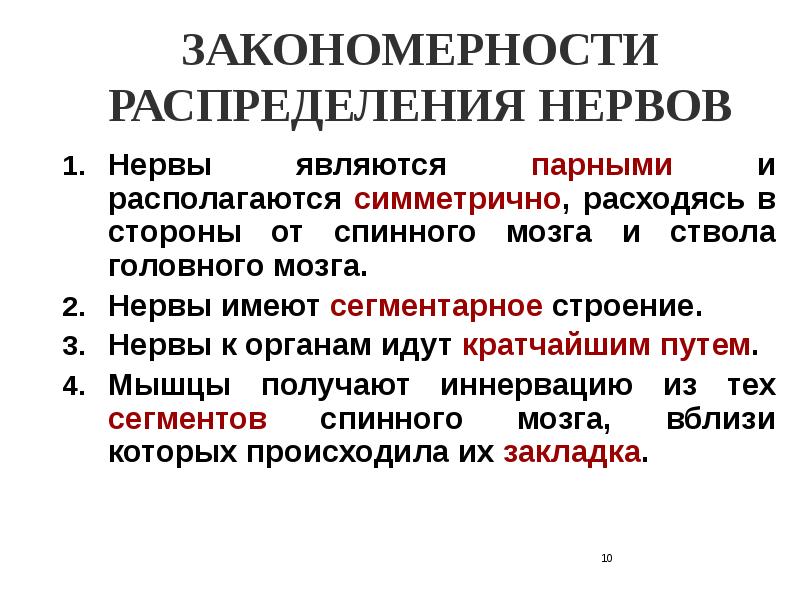 Функциональная анатомия периферической нервной системы презентация