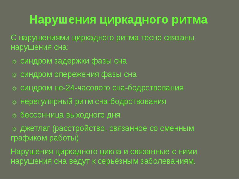 Проект циркадные ритмы