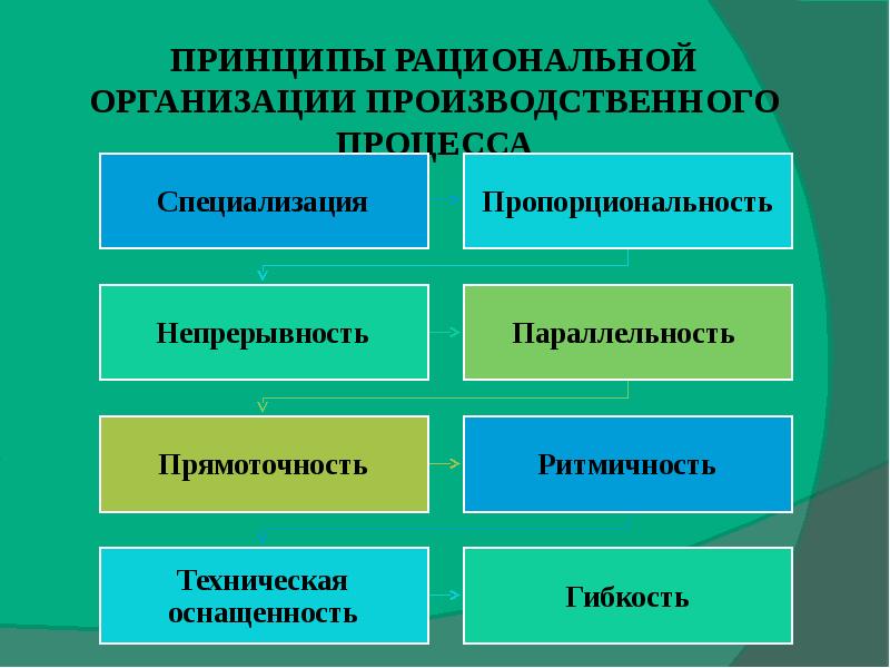 Принципы организации презентация