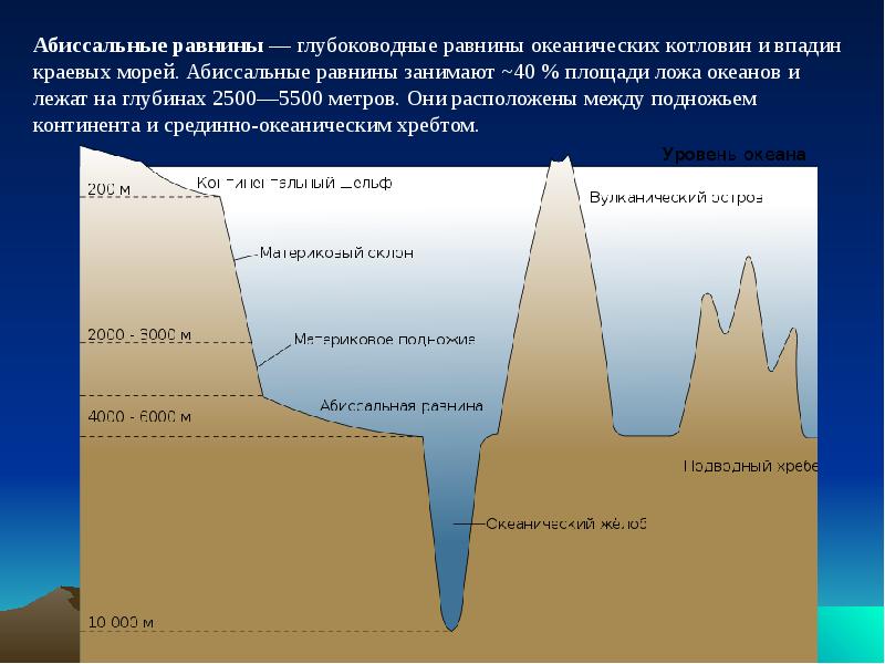 Охарактеризуйте рельеф отметив среднюю и наибольшую глубину. Абиссальная зона мирового океана. Абиссальная равнина. Абиссальные глубоководные равнины. Зоны океана по глубине.