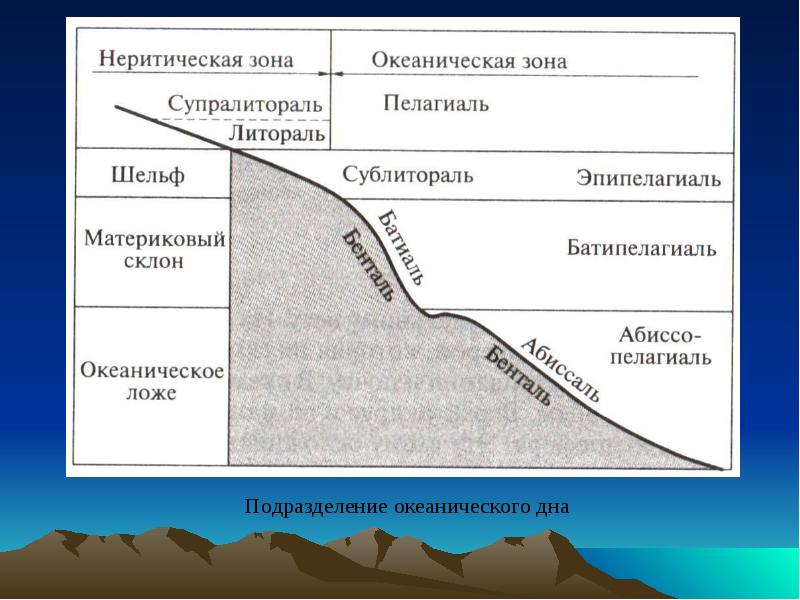 Состав географической оболочки. Литораль Батиаль. Литораль сублитораль Батиаль. Литораль, сублитораль, профундаль. Сублитораль глубина.