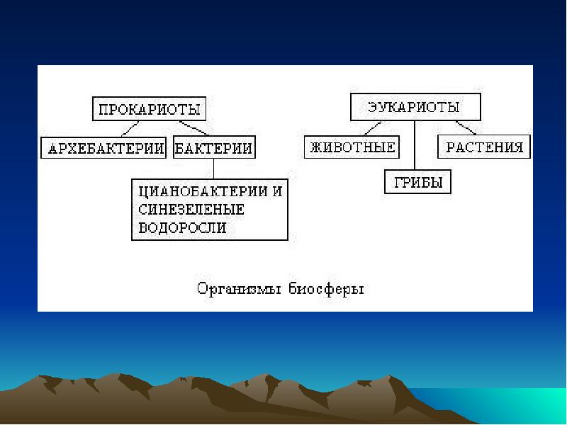 Структура географии. Поясно-зональные таксоны (структуры) географической оболочки. Структура географической карты. Географическое строение языка. Структура географической Нуки схема.