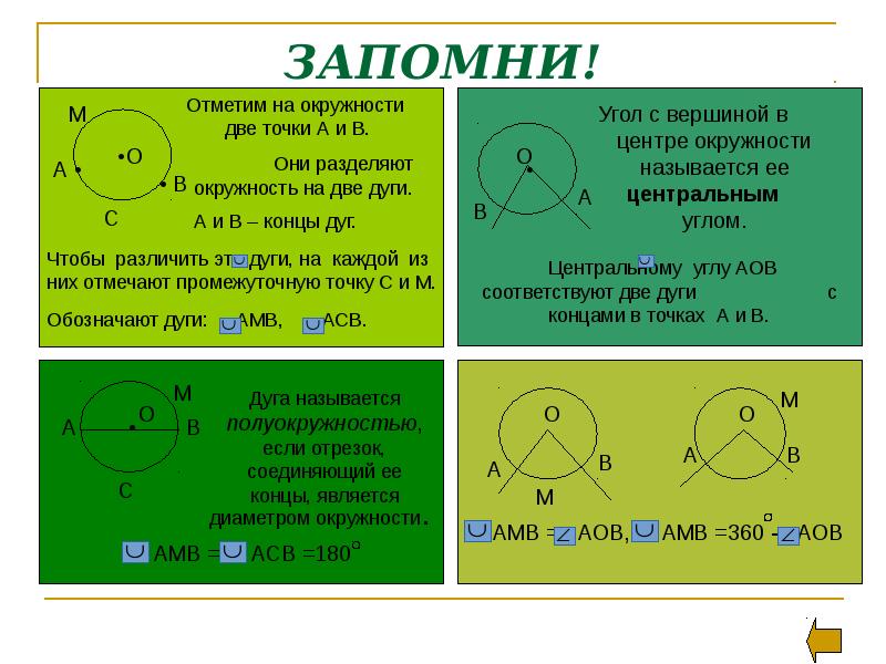 Проект по геометрии окружность