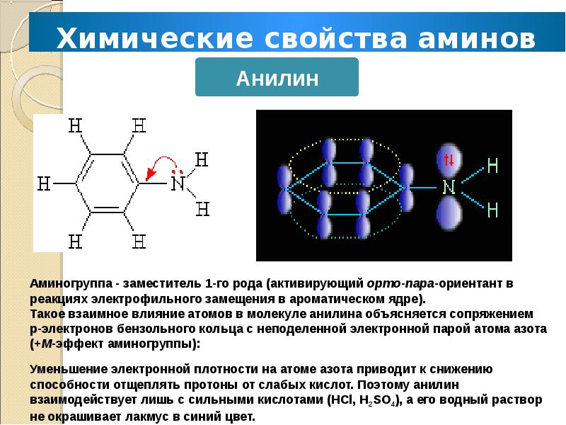 Презентация на тему амины