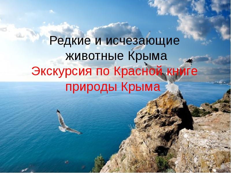 Проект редкие животные крыма