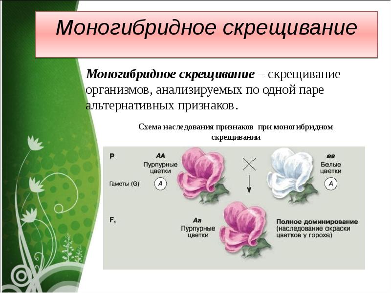 Презентация на тему наследование