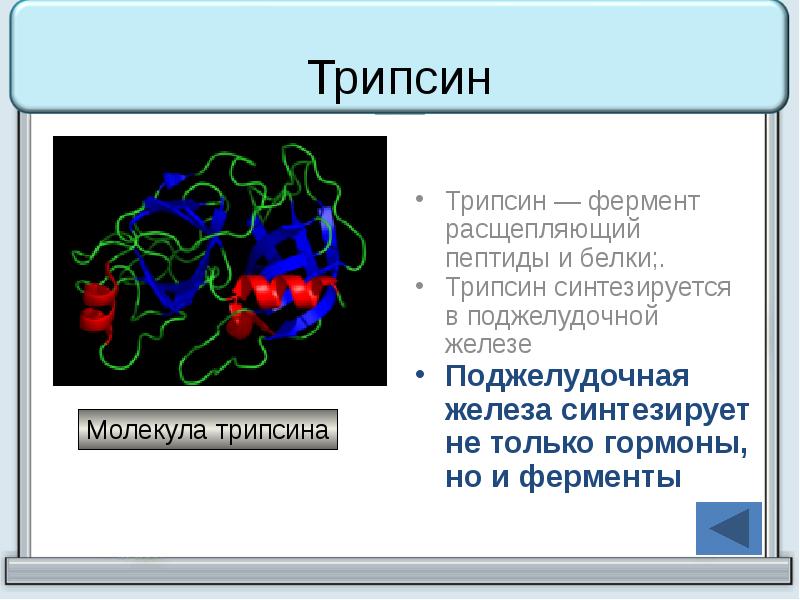 Железа вырабатывающая ферменты расщепляющие белки. Трипсин фермент. Трипсин формула. Трипсин фермент расщепляет. Трипсин формула химическая.