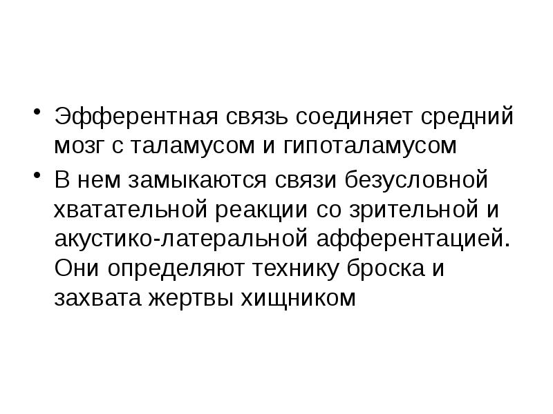 Связь объединяющая. Эфферентные связи гипоталамуса. Афферентные связи гипоталамуса. Зрительная афферентация это. Зрительно пространственная афферентация это.