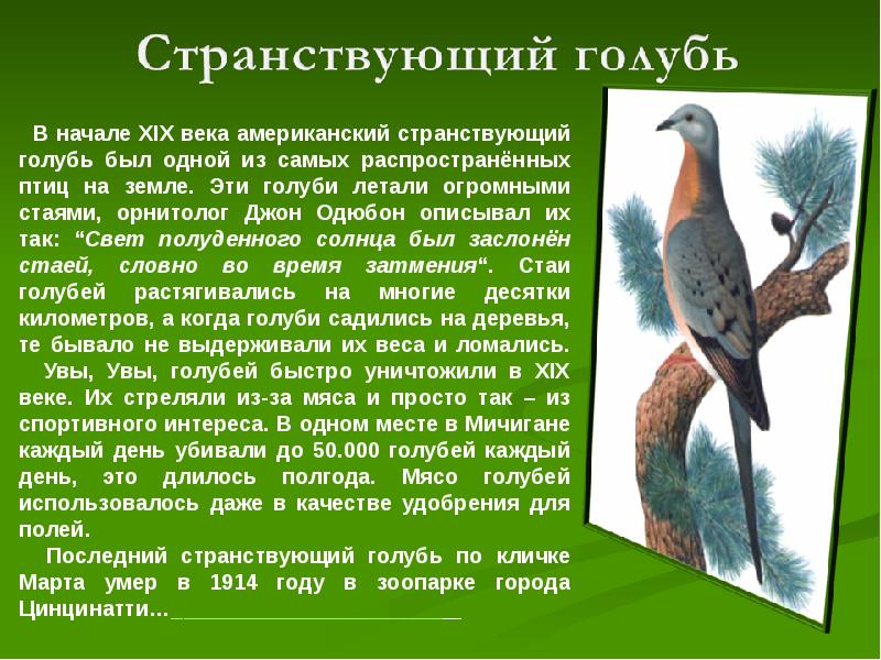 Жизнь под угрозой 5 класс презентация