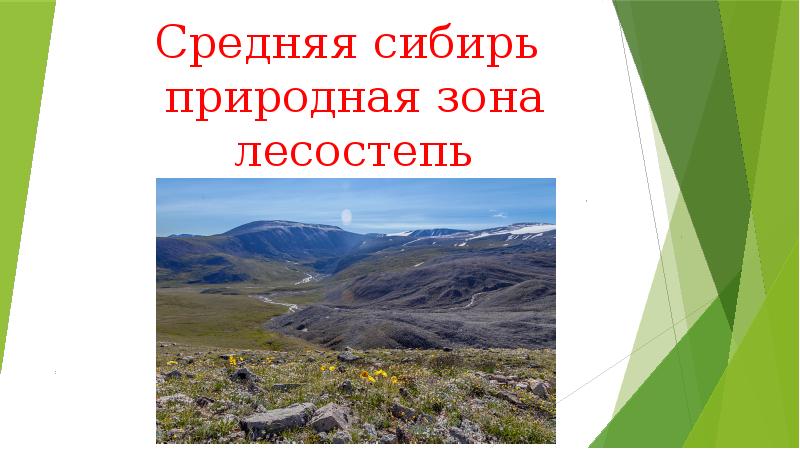 Природные ресурсы средней сибири. Природные зоны Сибири. Средняя Сибирь. Природные зоны средней Сибири кратко. Природные зоны Северной Сибири.