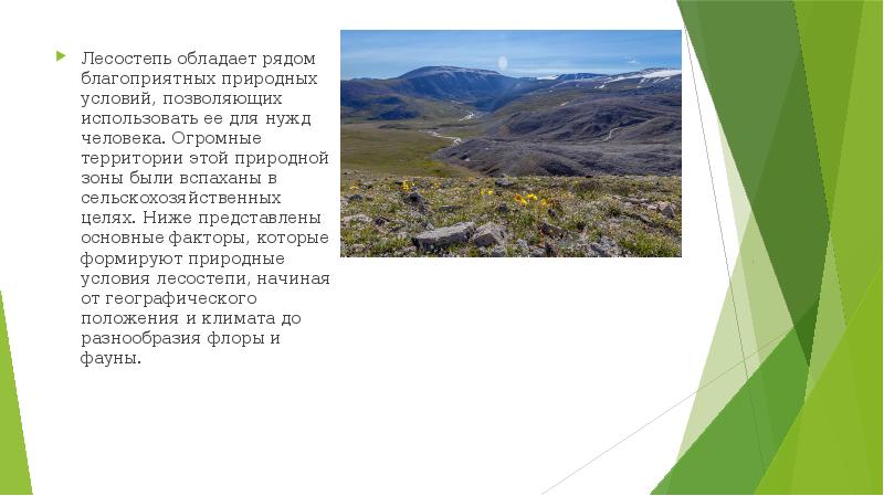 Природные зоны Португалии. Климатические условия лесостепи. Географическое положение лесостепи. Природные зоны Дагестана.