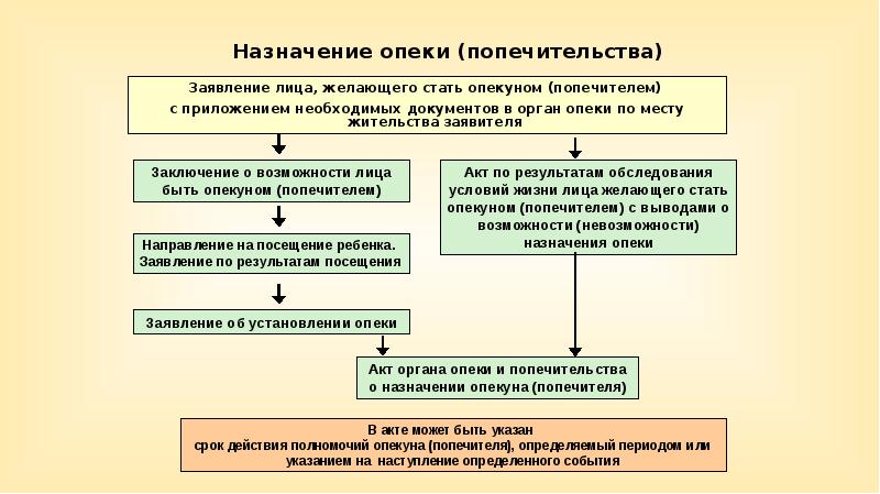 План проведения собрания опекунов