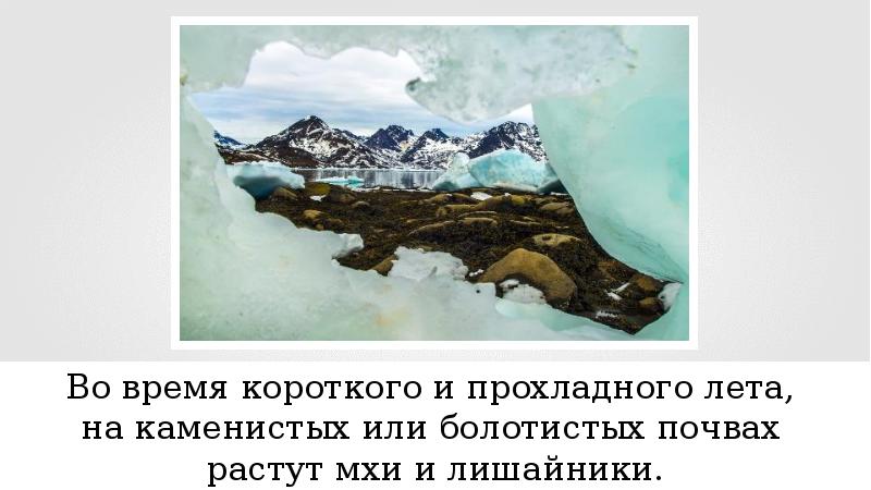 Природа северной америки презентация 7 класс география