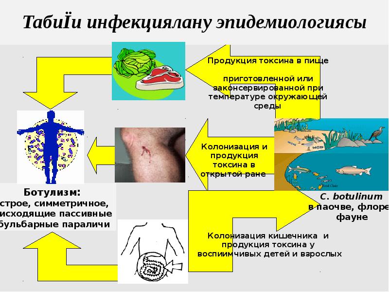 Проект leaf медицина