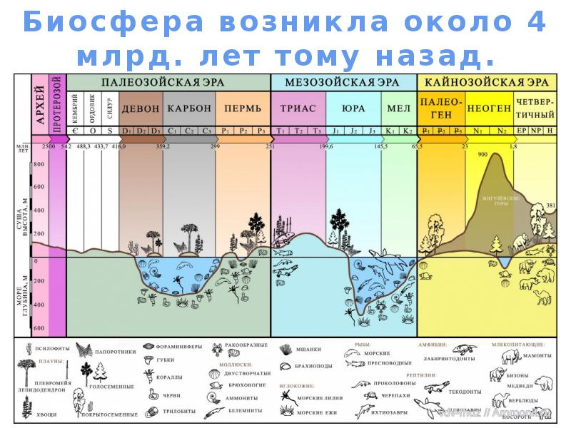 Эволюция биосферы презентация