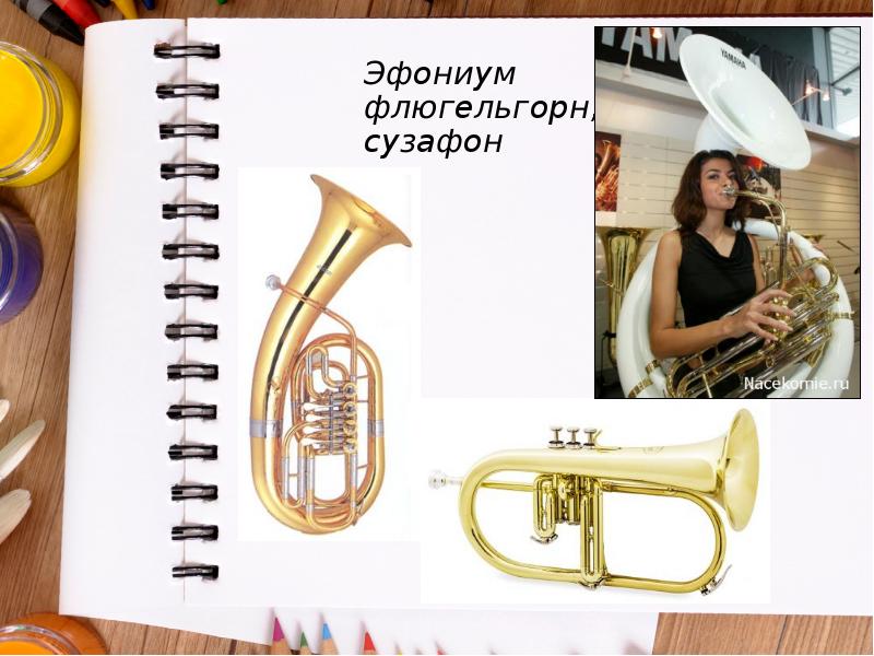 Эфониум флюгельгорн, сузафон Эфониум флюгельгорн, сузафон
