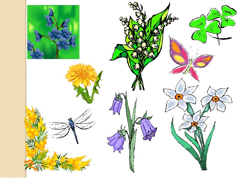 презентация цветы для дошкольников. презентация цветы для дошкольников. садовые и полевые цветы для дошколят. проект секреты растений. презентация цветы для дошкольников.