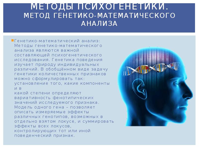 Математическая генетика. Методы генетико-математического анализа. Психогенетические исследования. Генетико-математические методы психогенетики. Методы генетика математического анализа.