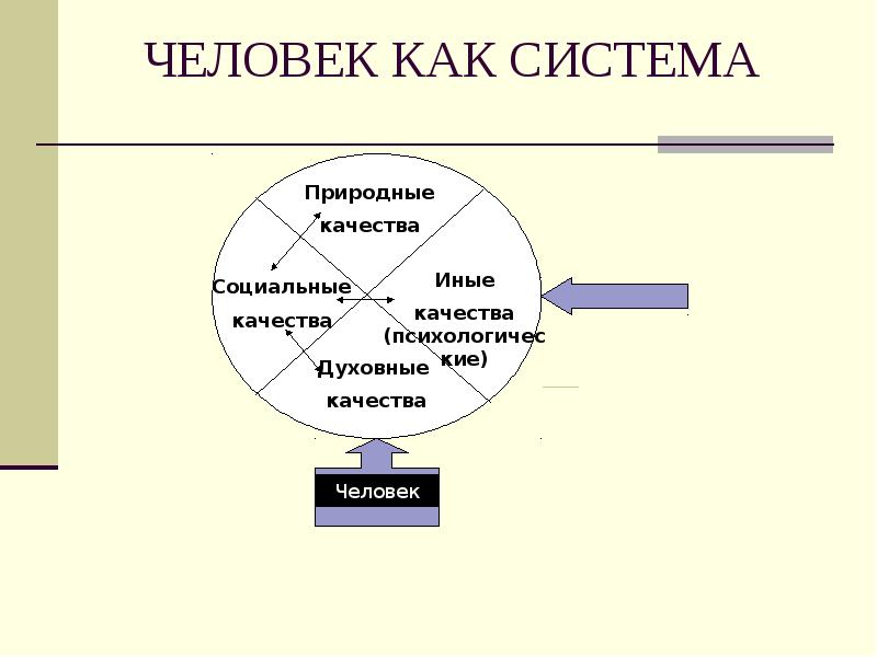 Тгп баранов в схемах