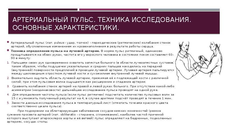 Артериальный пульс. Техника исследования артериального пульса. Характеристики артериального пульса. Артериальный пульс техника исследования основные характеристики.