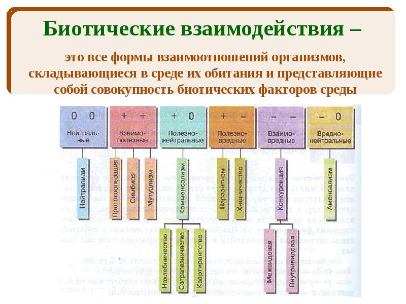 Биотические факторы среды типы связей между организмами в биоценозе презентация 9 класс