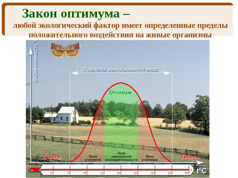 Презентация экологические законы и правила