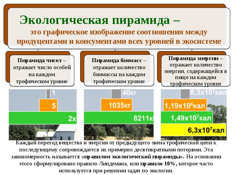 Экология к егэ презентация