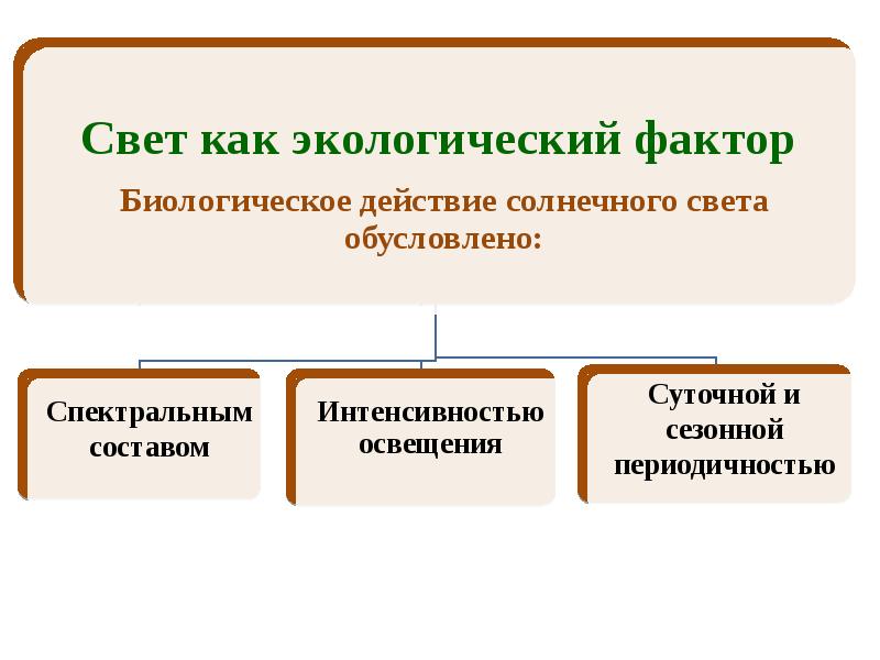 Фактор освещения. Свет как фактор окружающей среды. Свет экологический фактор. Свет важнейший экологический фактор. Важнейшие экологические факторы: свет..