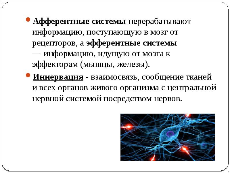 Лекарственные средства влияющие на афферентную иннервацию презентация