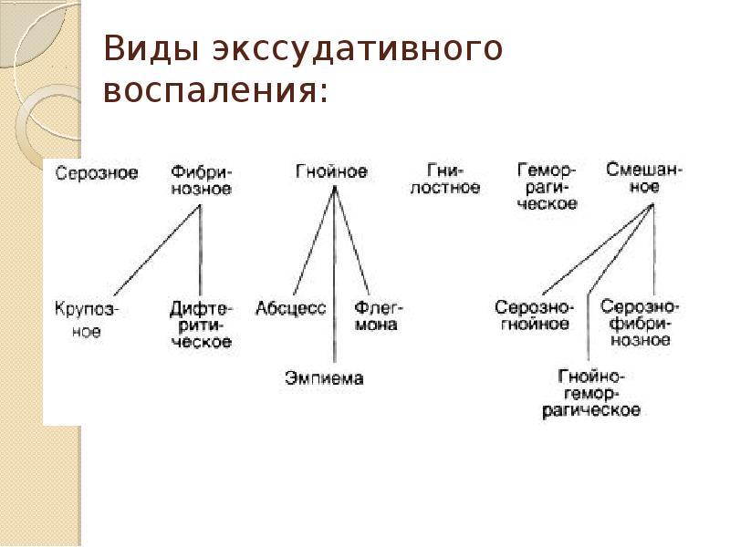 Виды воспаления презентация