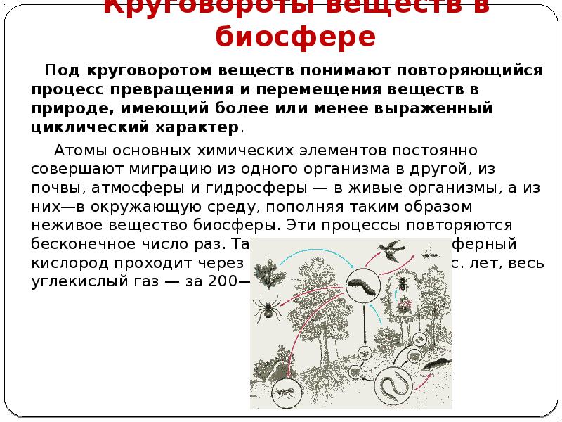 Круговороты веществ в биосфере
Под круговоротом веществ понимают Круговороты веществ в биосфере
Под круговоротом веществ понимают