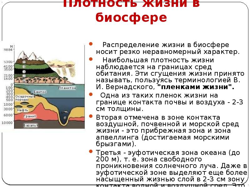 Плотность жизни в биосфере
Распределение жизни в биосфере носит Плотность жизни в биосфере
Распределение жизни в биосфере носит