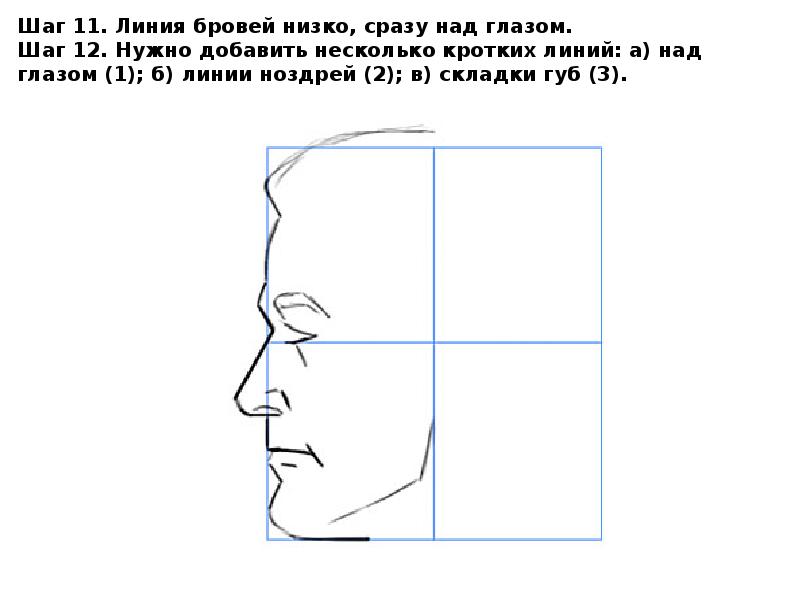 Как рисовать профиль лица поэтапно