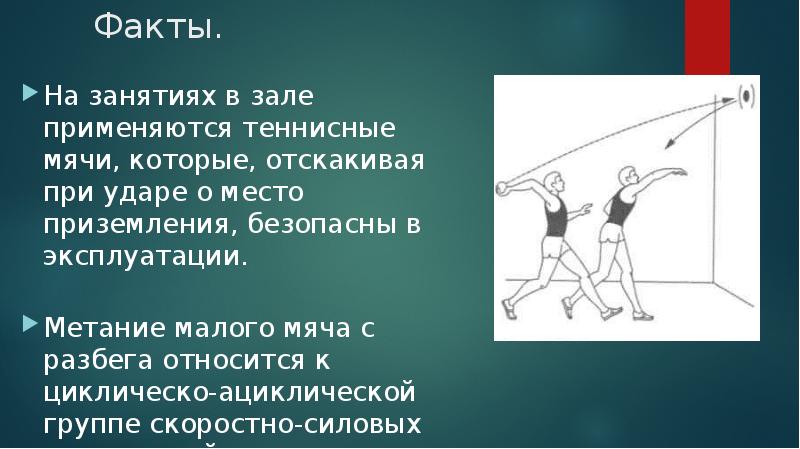 Как называется сектор для метания малого мяча а холл б поле в коридор г аут