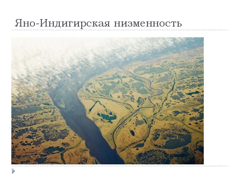 Яно индигирская низменность фото