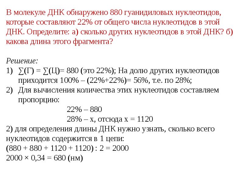 Молекулярная масса нуклеотидов составляет. Количество нуклеотидов в ДНК. Общее число нуклеотидов в молекуле ДНК. Количество нуклеотидов в молекуле. Определение количества нуклеотидов в ДНК.