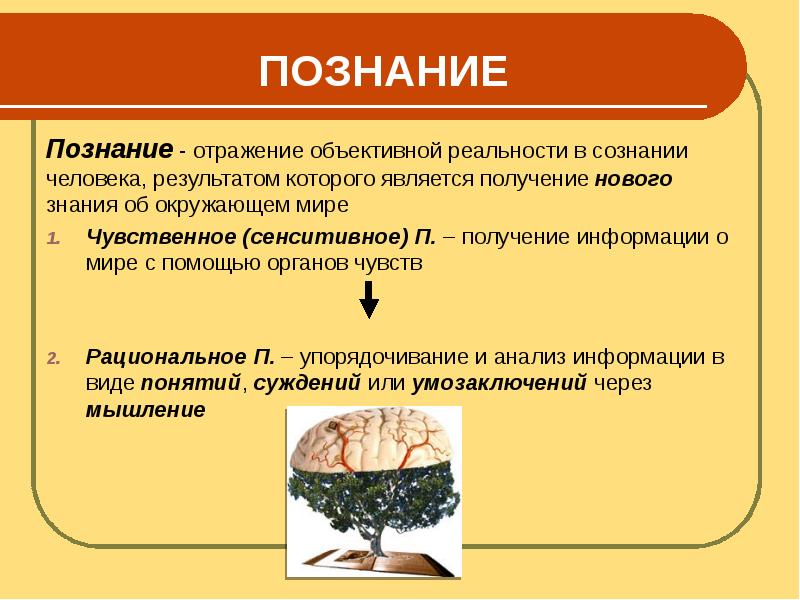 Сознание и познание презентация