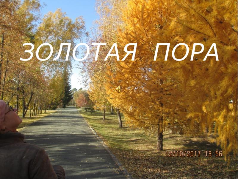 Проект золотая пора