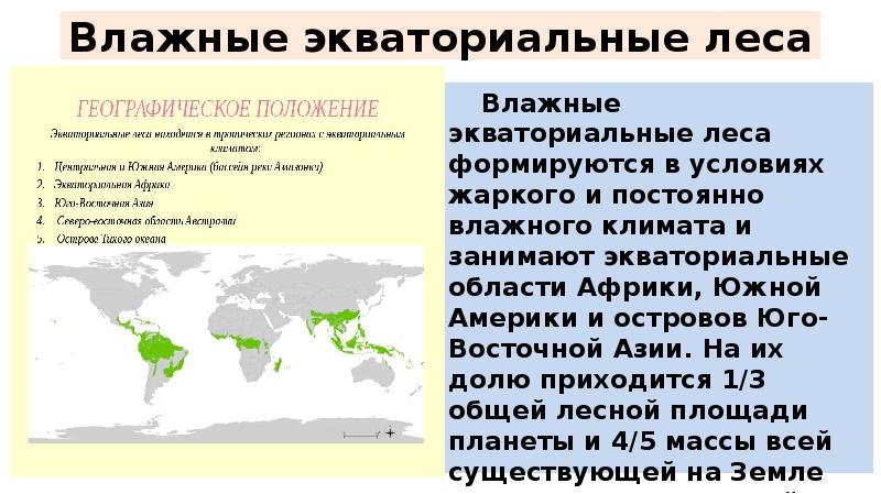 Особенности влажных экваториальных лесов