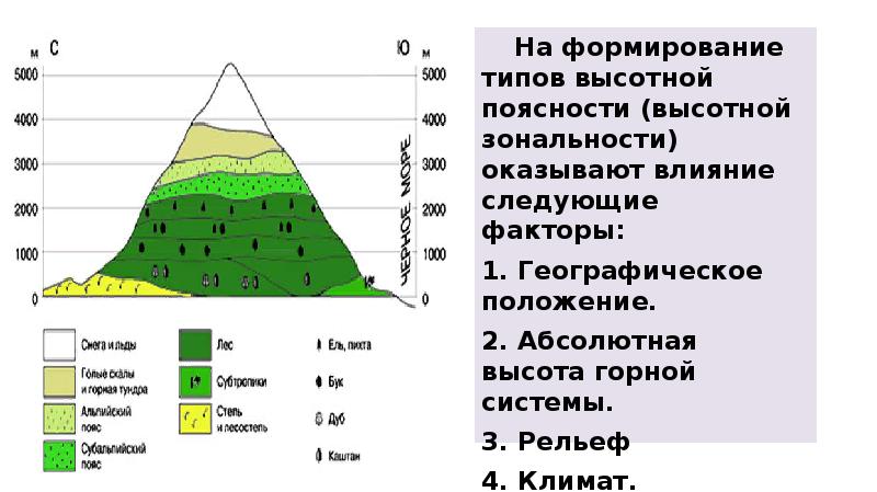 На какой высоте расположен субальпийский пояс кавказ. Высотная поясность таблица природные зоны. Закономерности ВЫСОТНОЙ поясности. Высотная поясность расположение природных зон. Высотная поясность Кавказ Эльбрус.