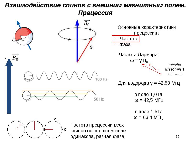 Взаимодействие спиновых полей. Спин электрона в магнитном поле. Ориентация магнитных доменов. Поле спинов. Домены ферромагнетиков.