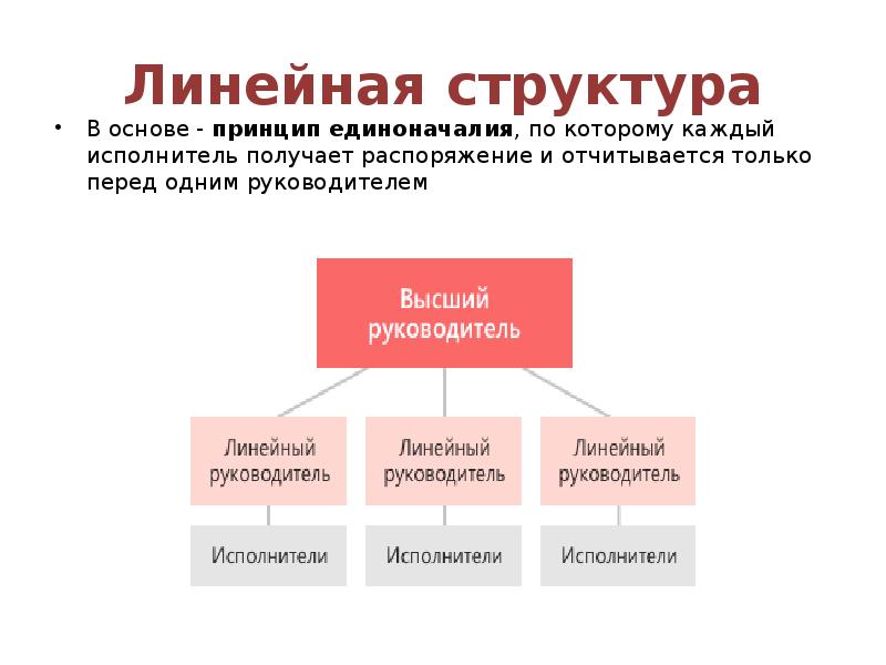 Линейный орган. Линейная структура. Линейная структура управления банка. Линейная иерархия.