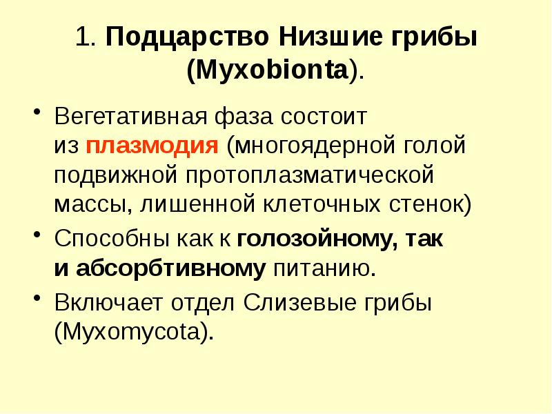 Низшие грибы. Подцарство низшие грибы. Подцарство грибы Myxomycota. Вегетативная фаза. Галозойноепитание грибов.