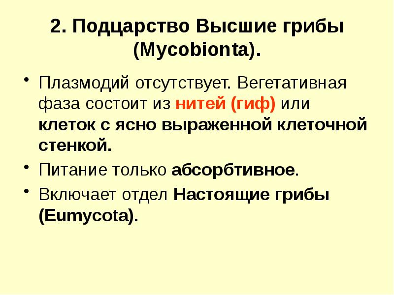 Вегетативные фазы. Фазы водного режима. Вегетативная фаза у растений. Амебоидная форма. Вегетативные фазы.