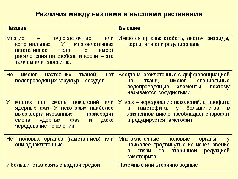 Чем высшие растения отличаются от низших