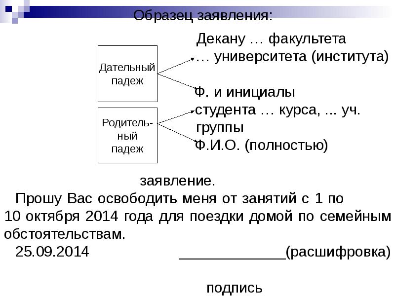 Образец заявления декану