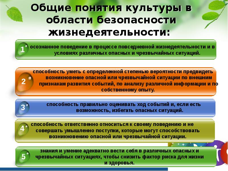 Основные пути формирования культуры безопасности жизнедеятельности в современном обществе проект