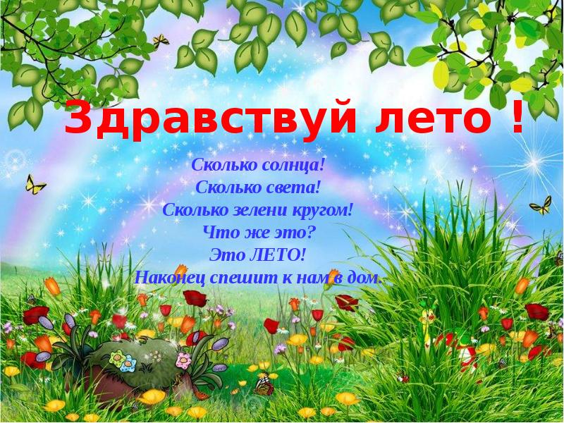 Проект здравствуйте лето