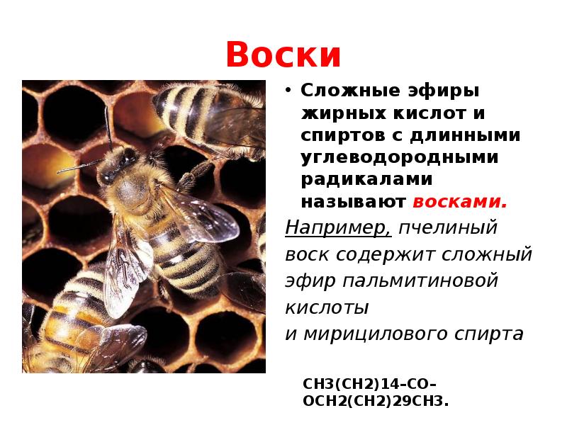 Воски сложные эфиры. Сложный эфир пальмитиновой кислоты и мирицилового спирта. Пальмитиново-мирициловый эфир. Воски это сложные эфиры.